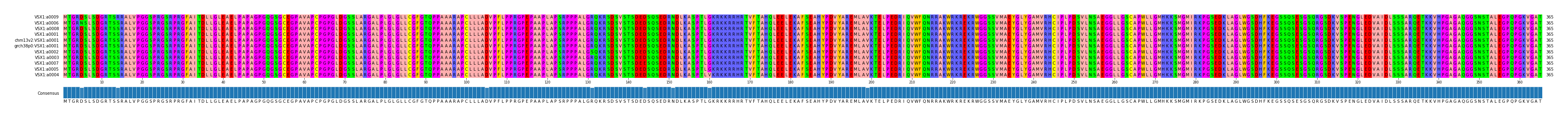 Multiple Alignments (by translate haplotype similarity)