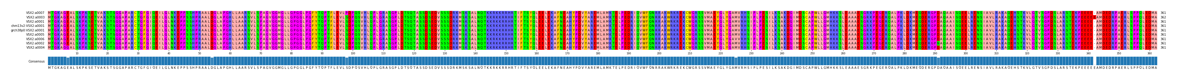 Multiple Alignments (by translate haplotype similarity)