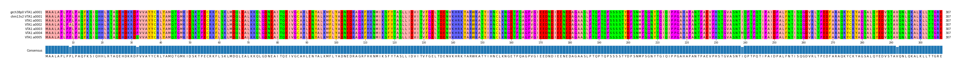 Multiple Alignments (by translate haplotype frequency)