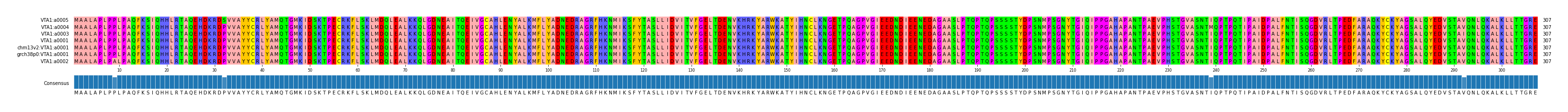 Multiple Alignments (by translate haplotype similarity)