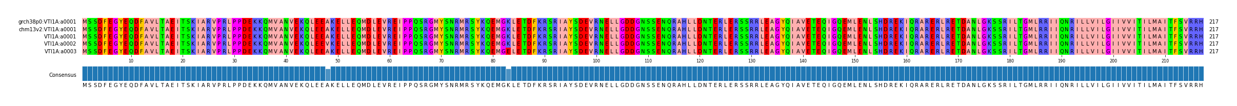 Multiple Alignments (by translate haplotype frequency)