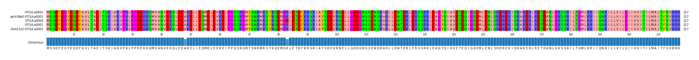 Multiple Alignments (by translate haplotype similarity)