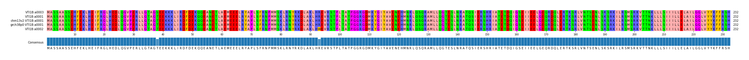 Multiple Alignments (by translate haplotype similarity)