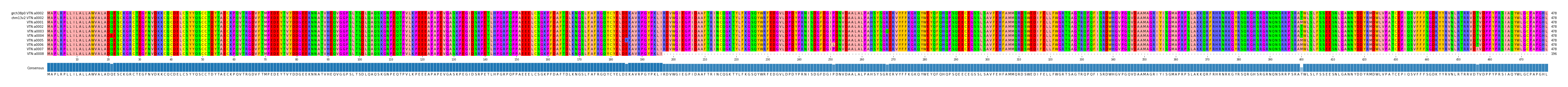 Multiple Alignments (by translate haplotype frequency)