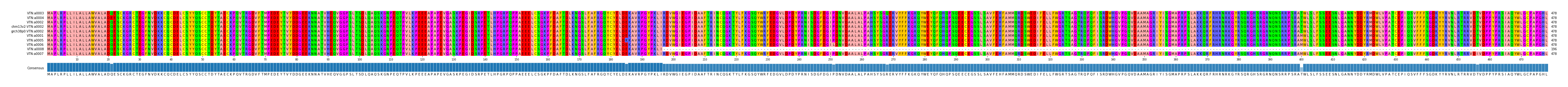 Multiple Alignments (by translate haplotype similarity)