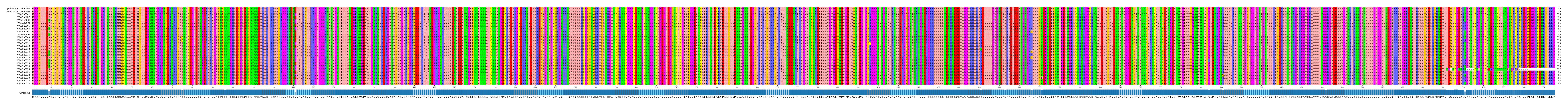 Multiple Alignments (by translate haplotype frequency)