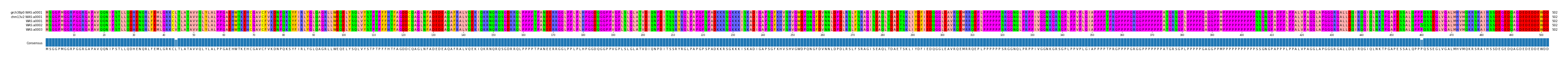 Multiple Alignments (by translate haplotype frequency)