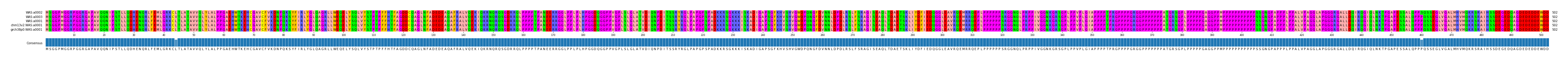 Multiple Alignments (by translate haplotype similarity)