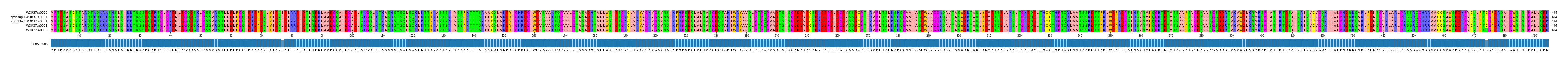 Multiple Alignments (by translate haplotype similarity)