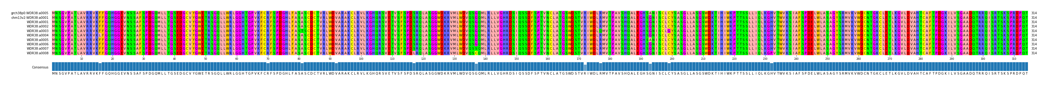 Multiple Alignments (by translate haplotype frequency)