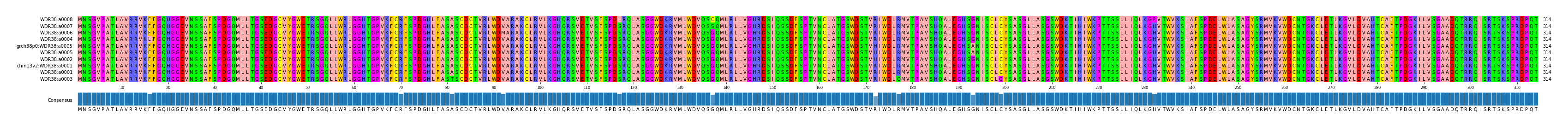 Multiple Alignments (by translate haplotype similarity)