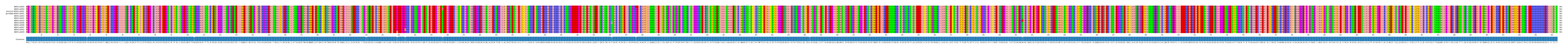 Multiple Alignments (by translate haplotype similarity)