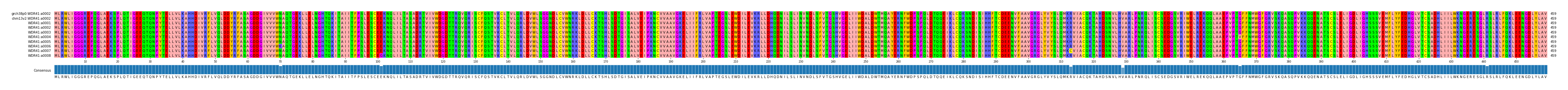 Multiple Alignments (by translate haplotype frequency)