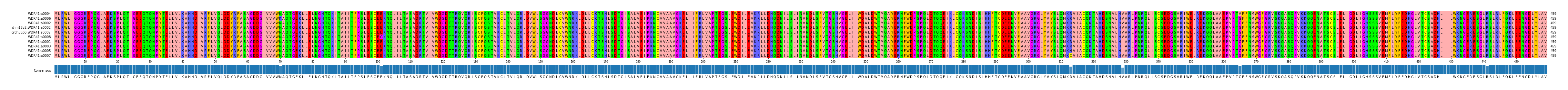 Multiple Alignments (by translate haplotype similarity)