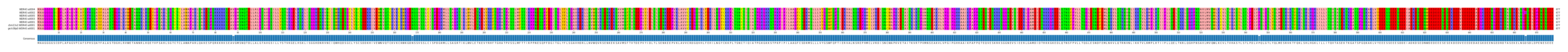 Multiple Alignments (by translate haplotype similarity)