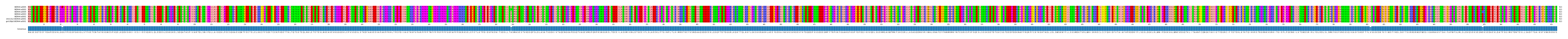 Multiple Alignments (by translate haplotype similarity)