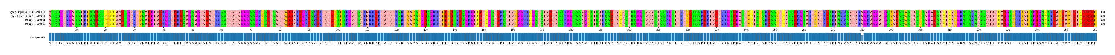 Multiple Alignments (by translate haplotype similarity)