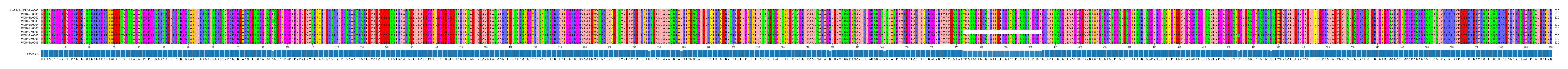 Multiple Alignments (by translate haplotype frequency)
