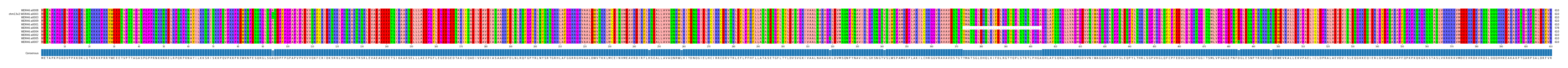 Multiple Alignments (by translate haplotype similarity)