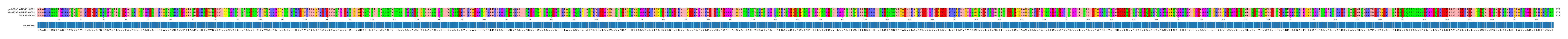 Multiple Alignments (by translate haplotype similarity)