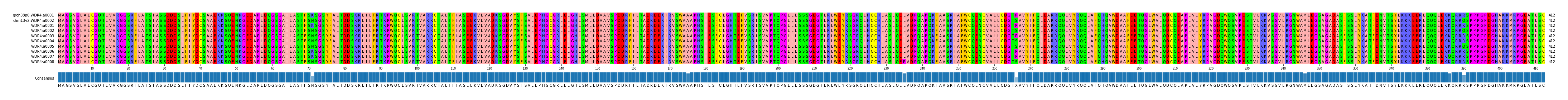 Multiple Alignments (by translate haplotype frequency)