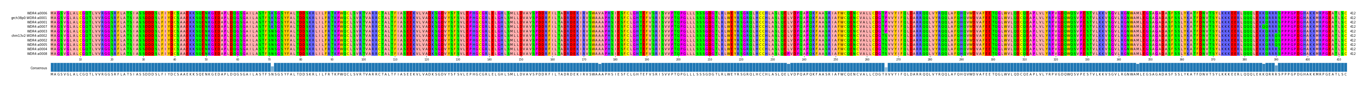 Multiple Alignments (by translate haplotype similarity)