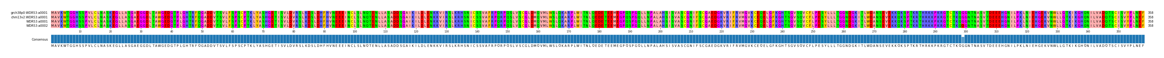 Multiple Alignments (by translate haplotype similarity)