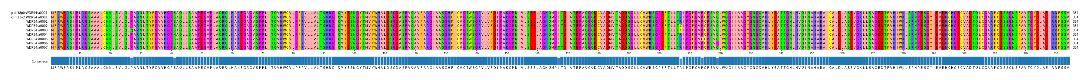 Multiple Alignments (by translate haplotype frequency)