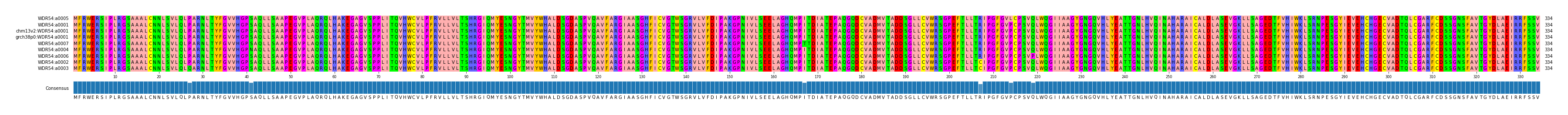 Multiple Alignments (by translate haplotype similarity)
