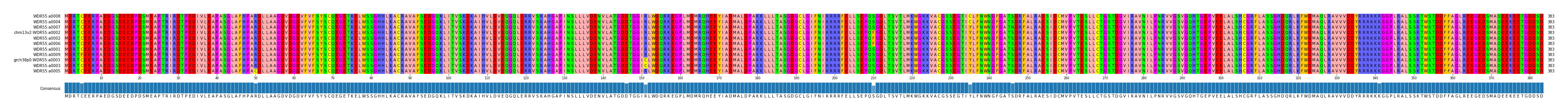 Multiple Alignments (by translate haplotype similarity)