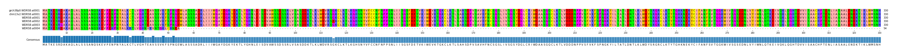 Multiple Alignments (by translate haplotype frequency)