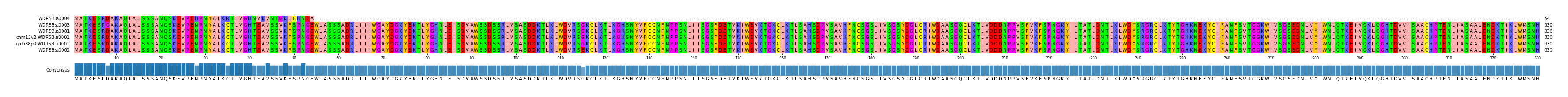 Multiple Alignments (by translate haplotype similarity)