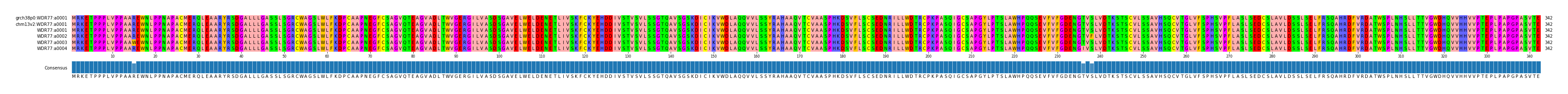 Multiple Alignments (by translate haplotype frequency)