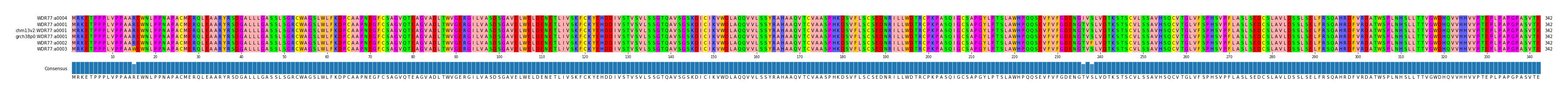 Multiple Alignments (by translate haplotype similarity)
