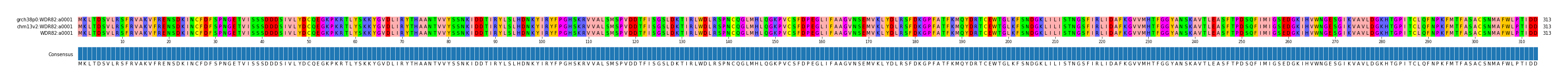 Multiple Alignments (by translate haplotype similarity)