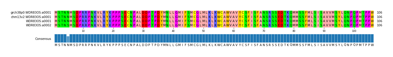 Multiple Alignments (by translate haplotype similarity)