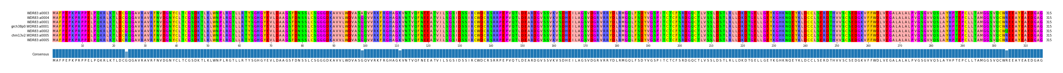 Multiple Alignments (by translate haplotype similarity)