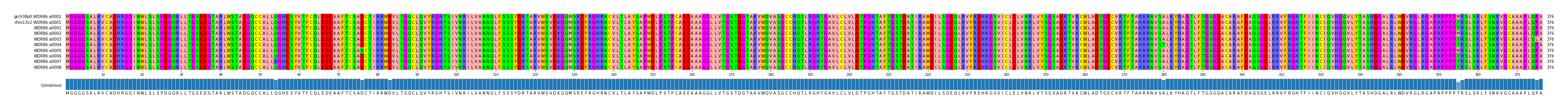 Multiple Alignments (by translate haplotype frequency)