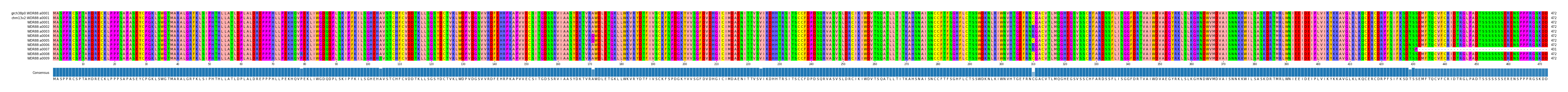 Multiple Alignments (by translate haplotype frequency)