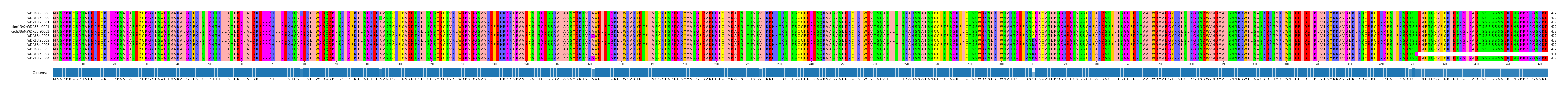 Multiple Alignments (by translate haplotype similarity)