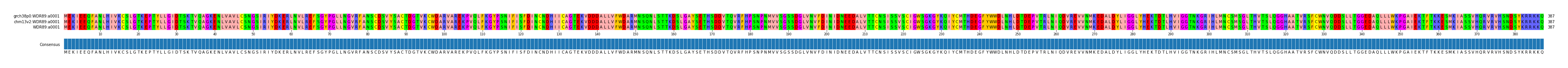 Multiple Alignments (by translate haplotype similarity)
