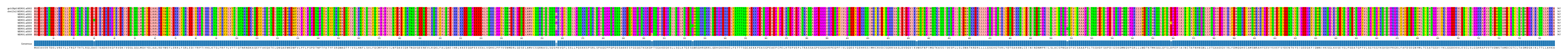 Multiple Alignments (by translate haplotype frequency)
