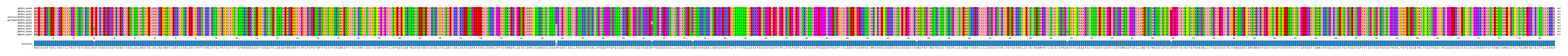 Multiple Alignments (by translate haplotype similarity)