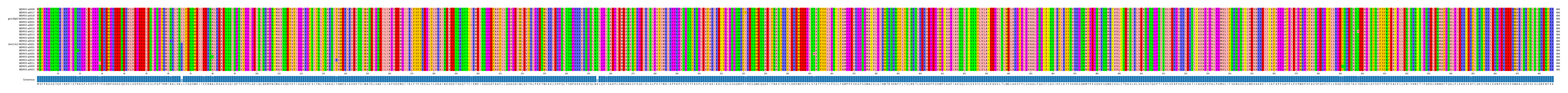 Multiple Alignments (by translate haplotype similarity)