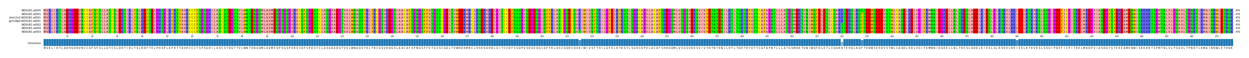 Multiple Alignments (by translate haplotype similarity)