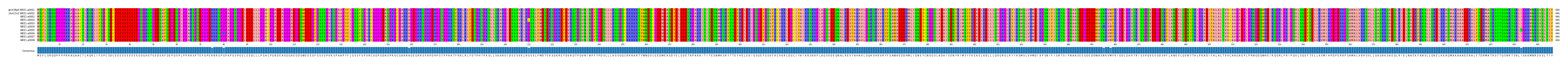 Multiple Alignments (by translate haplotype frequency)