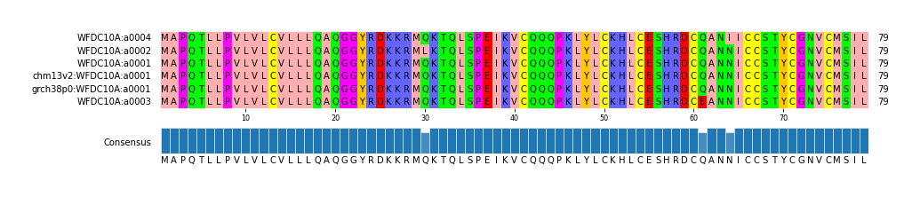 Multiple Alignments (by translate haplotype similarity)