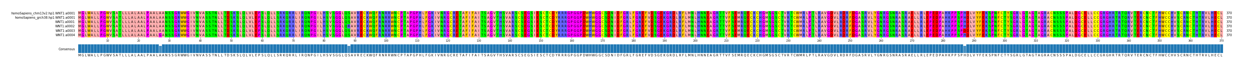 Multiple Alignments (by translate haplotype frequency)