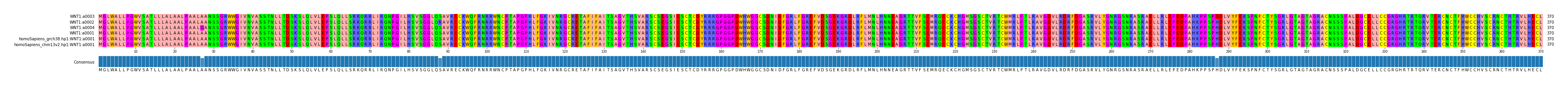 Multiple Alignments (by translate haplotype similarity)