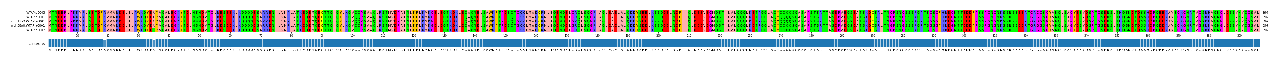Multiple Alignments (by translate haplotype similarity)